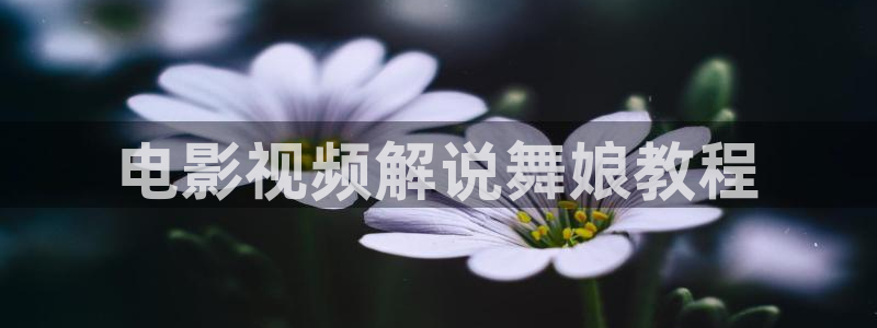 奇优影院在线观看影院