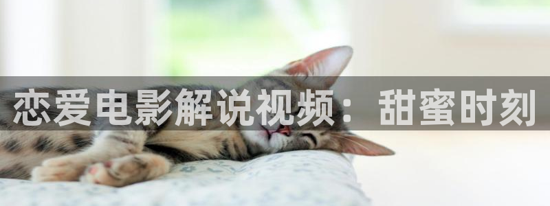 奇优影院电视剧理论免费观看