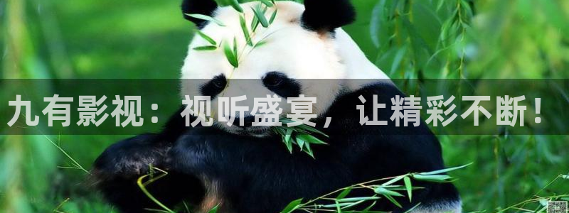 奇优影视网址