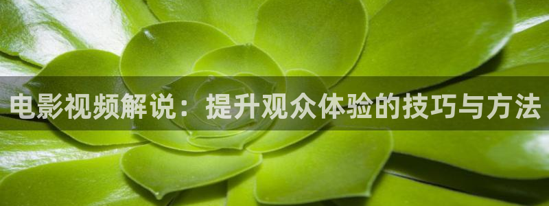 奇优影院官网地址