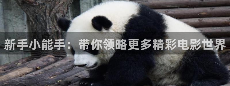 奇优影剧
