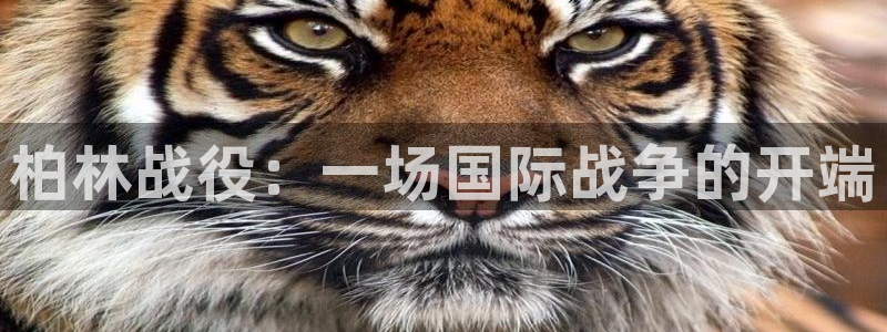 奇优影院电视剧电影