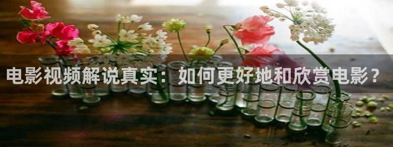 奇优影视电视剧大全