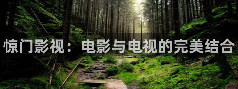 奇优影院韩国电影