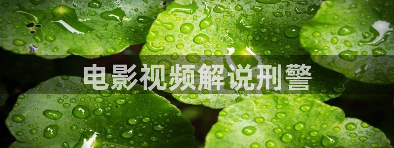 奇优影院手机理论片