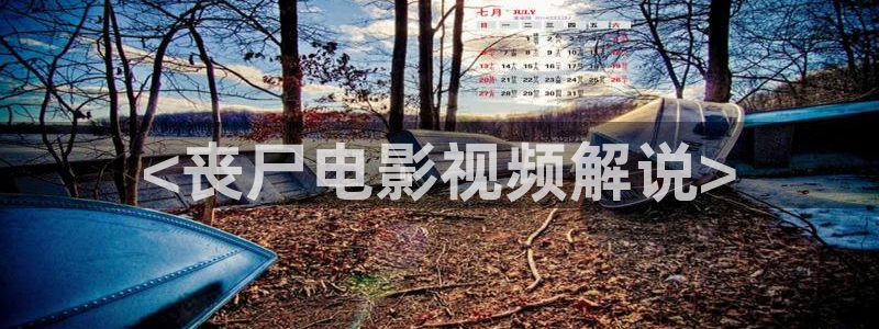 奇优影视