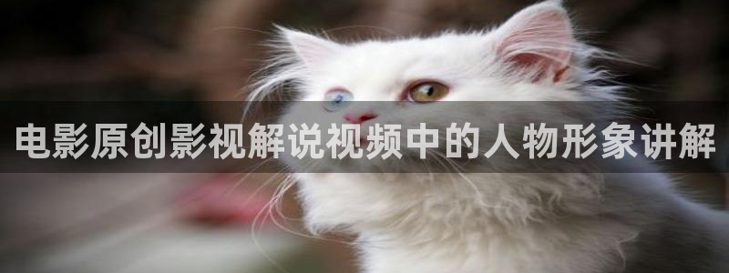 奇优影视手机版在线观看