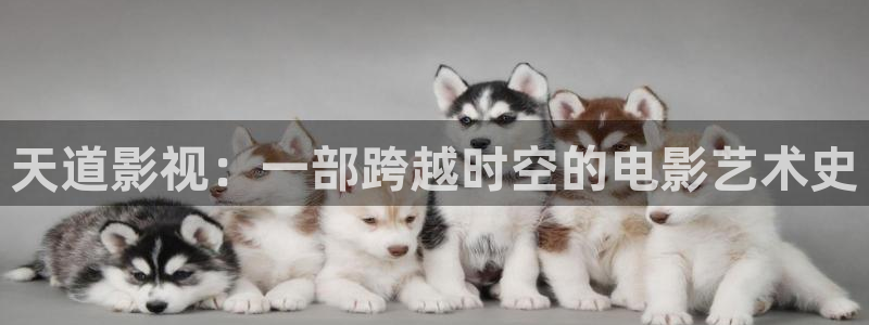 奇优影院免费看