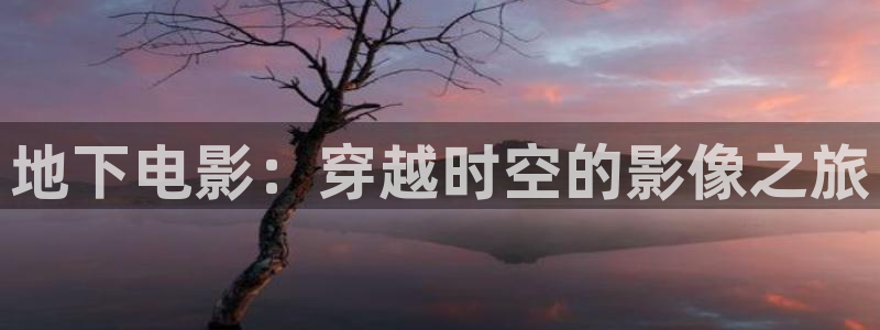 奇优影院电视剧手机版免费
