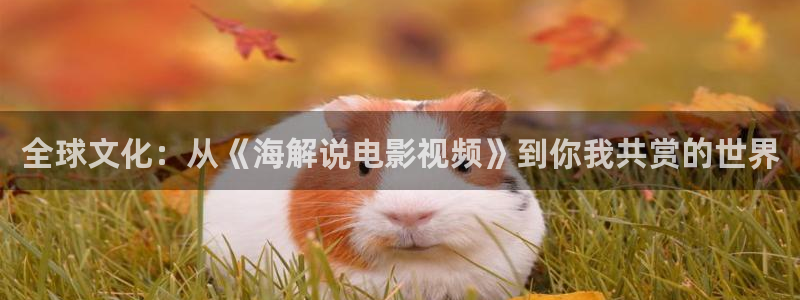奇优影视官网