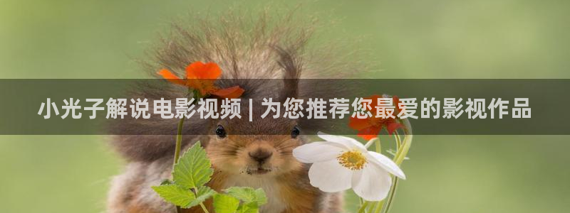 奇优影院手机版电视剧在线观看