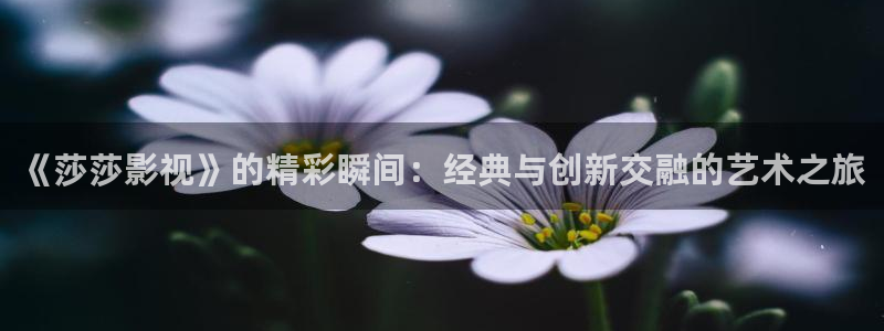 奇优影院老版本