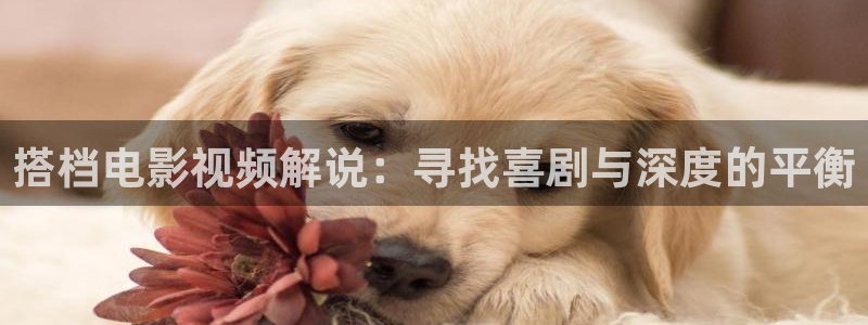 奇优影院好多福利啊