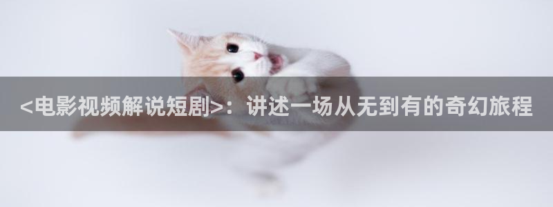 奇优影院 电视剧 电影