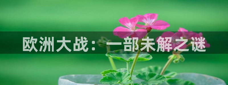 奇优影院手机影院