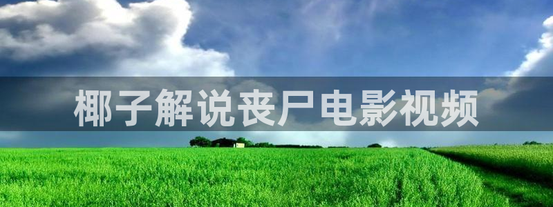 yy6090奇优影院