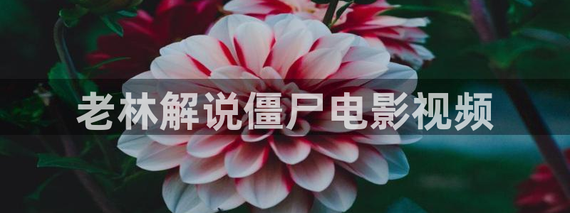 奇优影院???