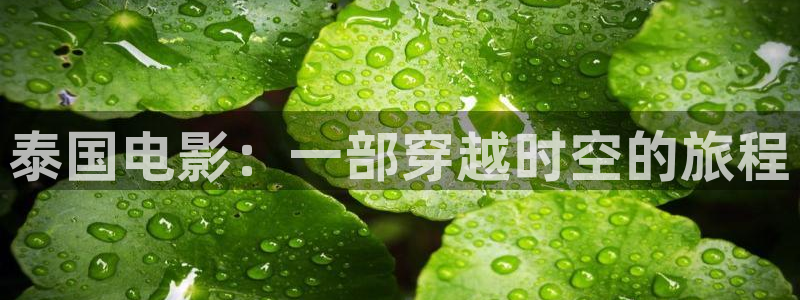 奇优影视app